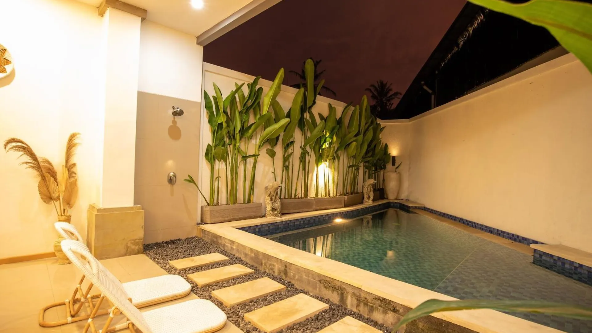 Forest In Bali 乌布 0*,  印尼